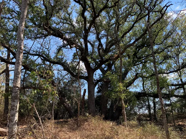 $264,845 | 532 Farm To Market Road 532, Weimar, TX 78962