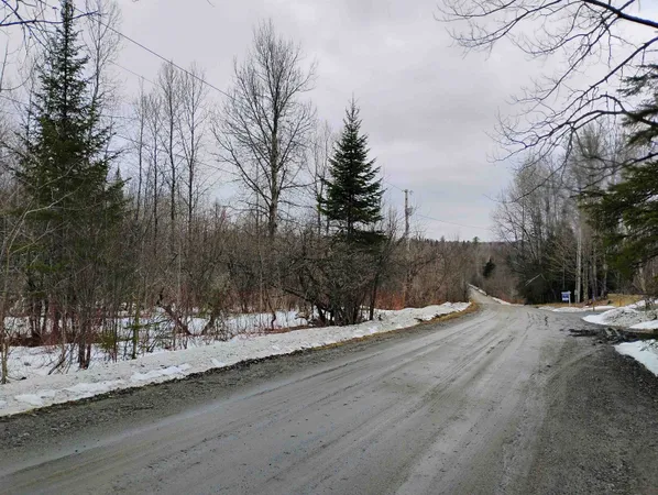 $75,000 | 0 Flagg Pond Road, Greensboro Bend, VT 05842
