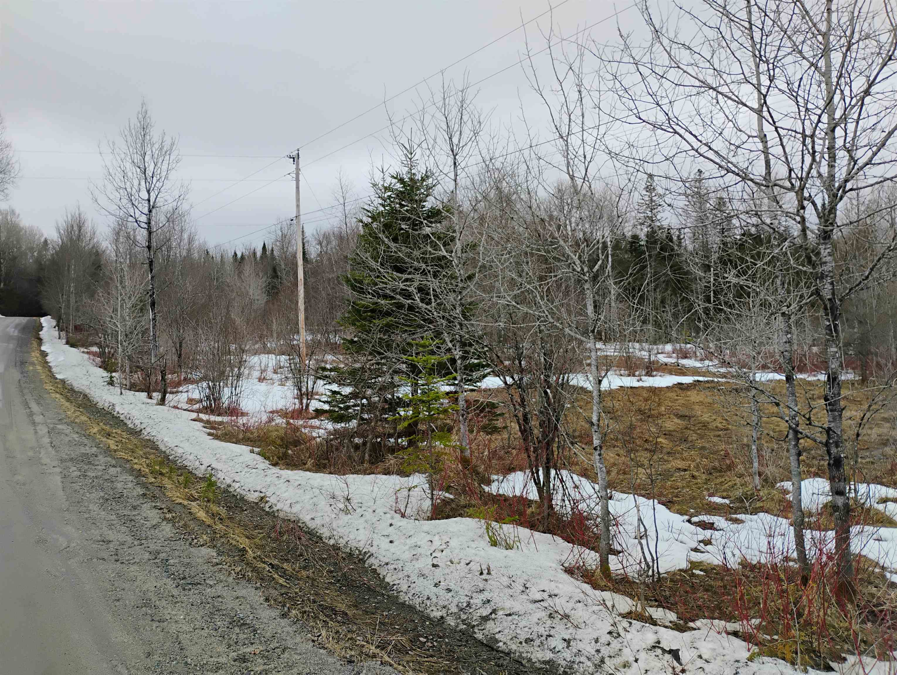 0 Flagg Pond Road Greensboro Bend, VT 05842 - Photo 4 of 4