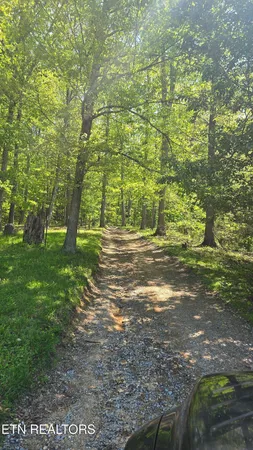 $23,700 | 7 Dooley Hollow Road, Ewing, VA 24248