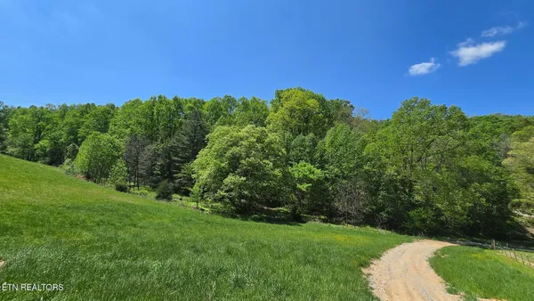 $23,700 | 7 Dooley Hollow Road, Ewing, VA 24248