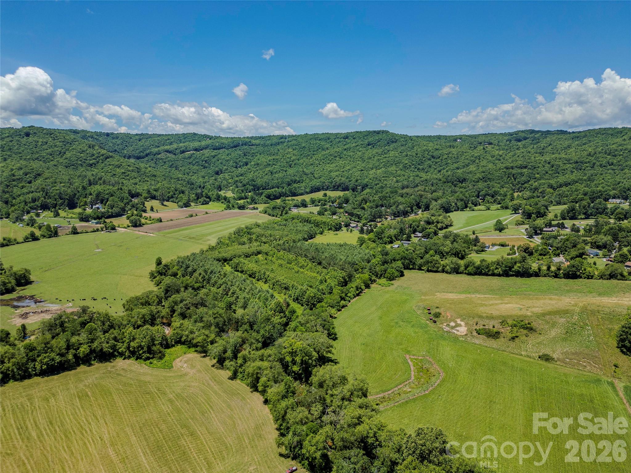 Tbd Canebrake Road Pisgah Forest, NC 28768 - Photo 29 of 43