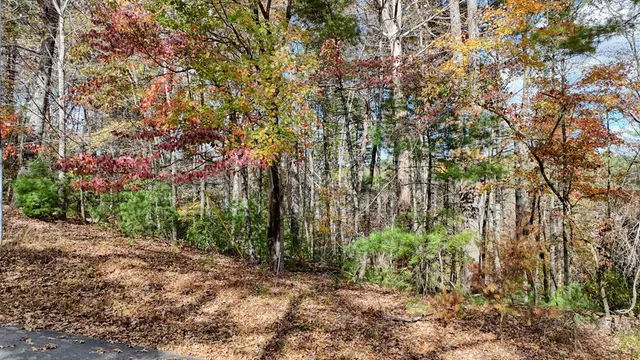 $149,900 | Lot 332 Pocaset Drive, Ellijay, GA 30540