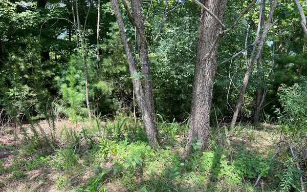 $60,000 | Lot 59 Fires Creek Cove Road, Hayesville, NC 28904