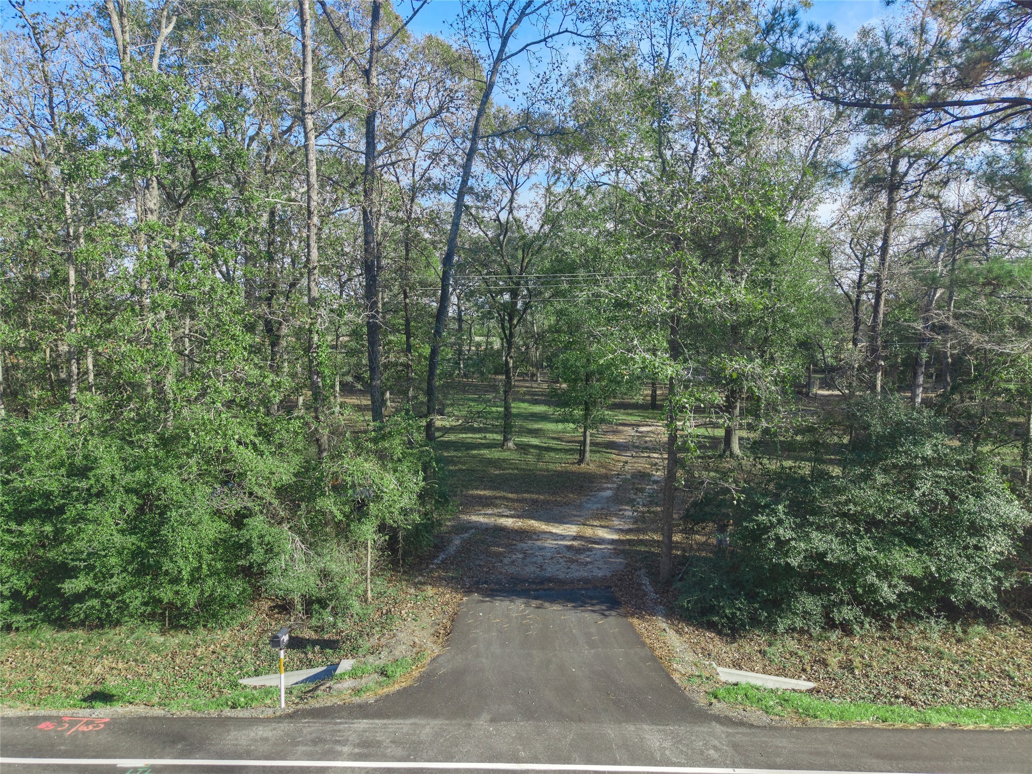 17381 FM 1484 Road Conroe, TX 77303 - Photo 2 of 37 a view of a yard