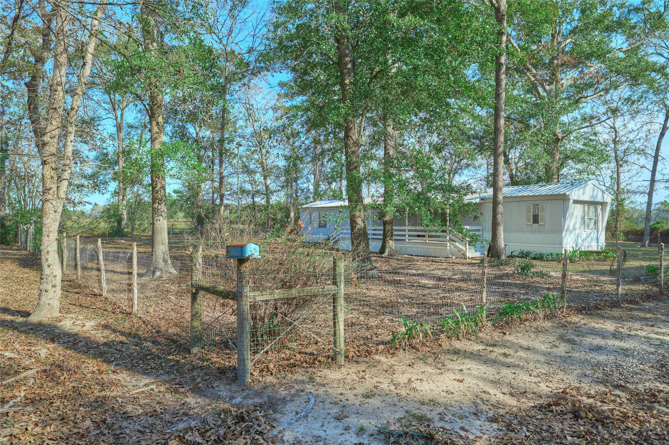 17381 FM 1484 Road Conroe, TX 77303 - Photo 3 of 37 a view of a backyard
