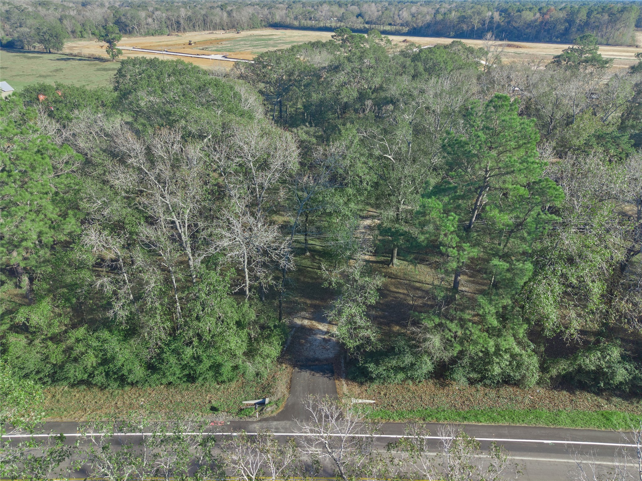 17381 FM 1484 Road Conroe, TX 77303 - Photo 37 of 37 a view of a yard