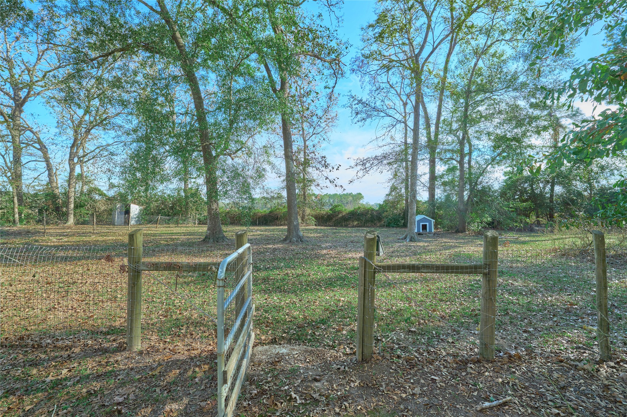 17381 FM 1484 Road Conroe, TX 77303 - Photo 8 of 37 a backyard of a house with lots of green space