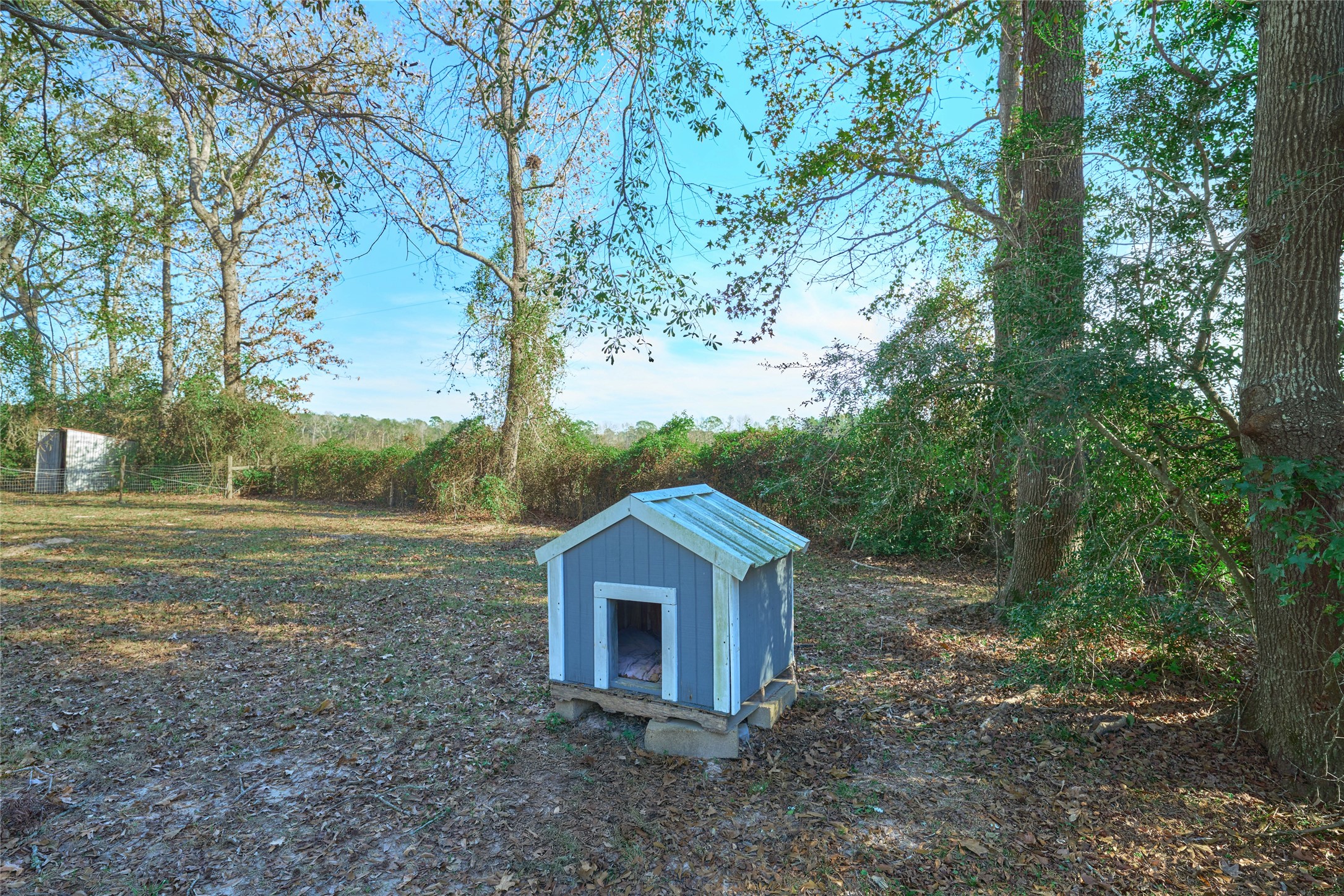 17381 FM 1484 Road Conroe, TX 77303 - Photo 9 of 37 a view of a big yard with large trees