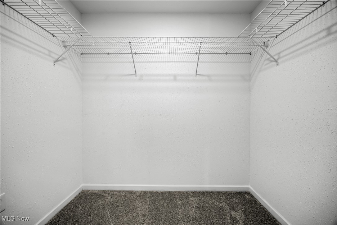1999 East Oldgate Road Sandusky, OH 44870 - Photo 24 of 32 Walk in closet featuring carpet flooring
