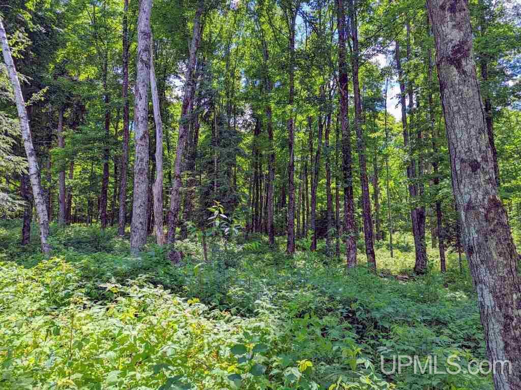233 Reiman Road Iron River, MI 49935 - Photo 8 of 13
