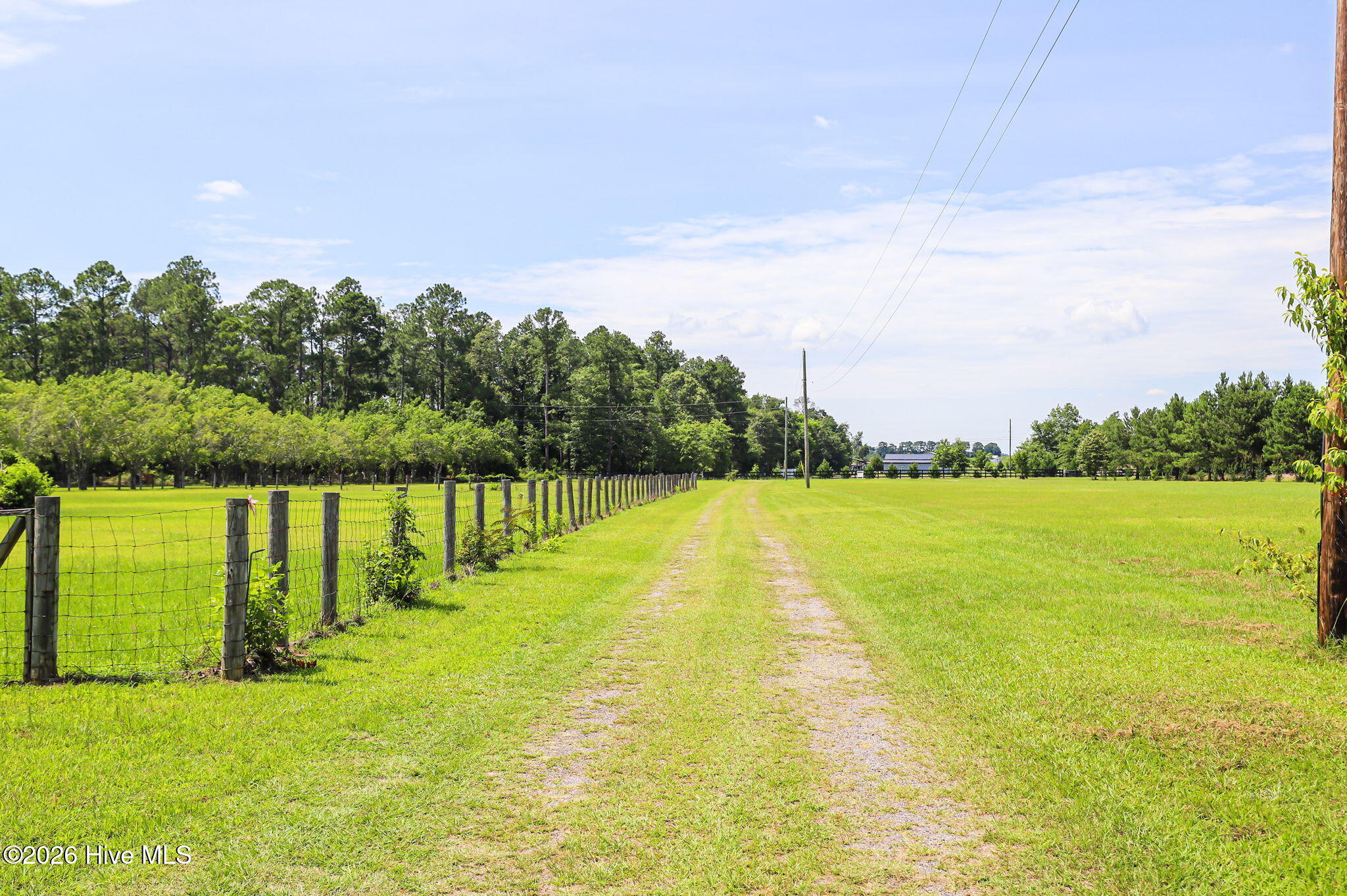 248 Mt Calvary Road Trenton, SC 29847 - Photo 31 of 34