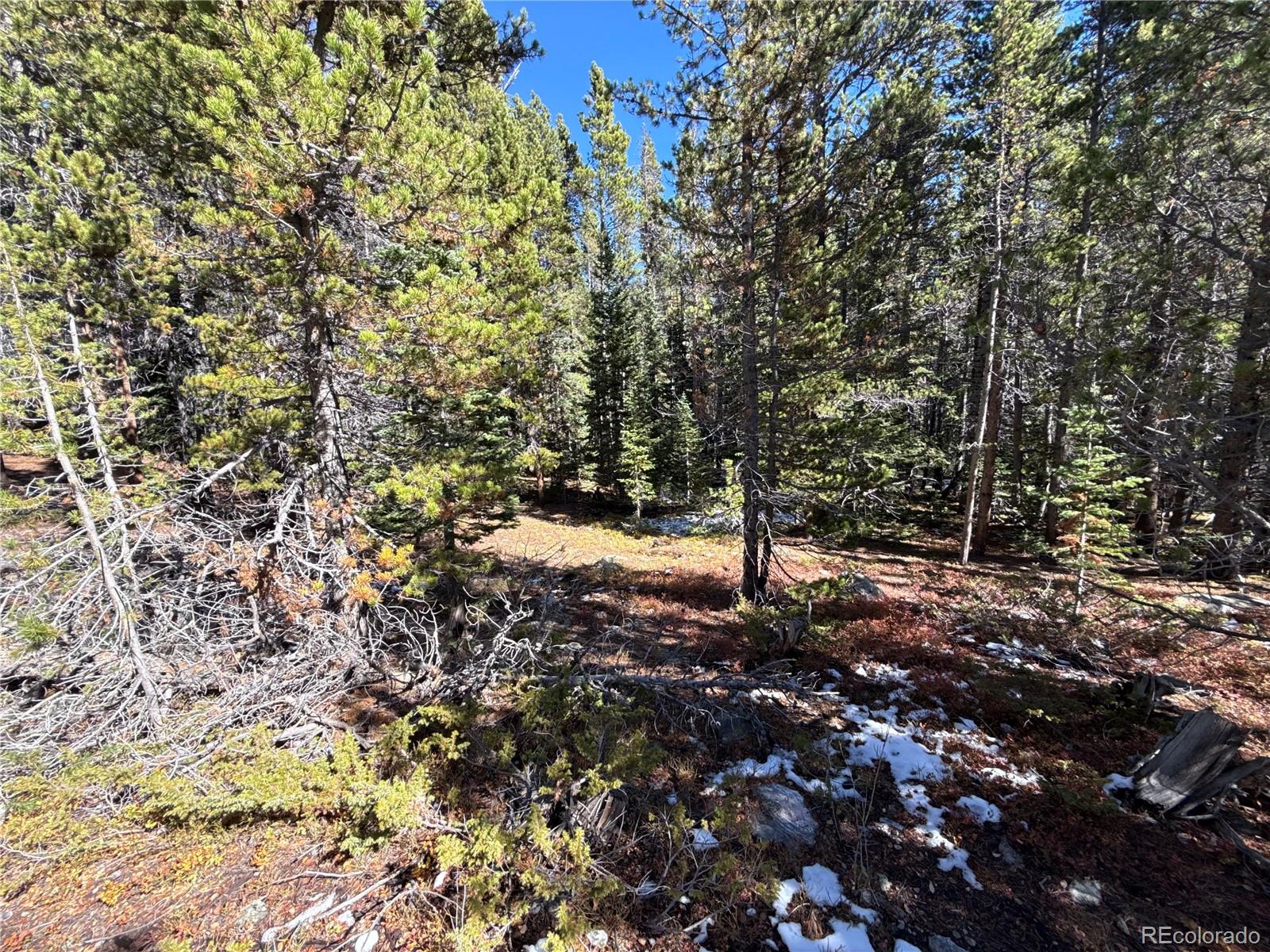 1010 Upper Forest Road Idaho Springs, CO 80452 - Photo 2 of 4