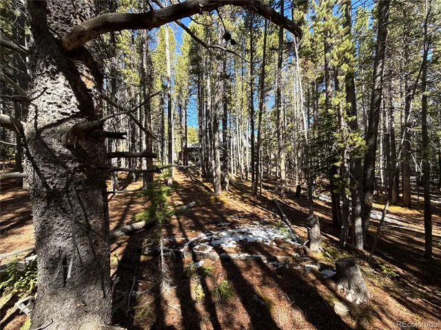 $50,000 | 1010 Upper Forest Road, Idaho Springs, CO 80452