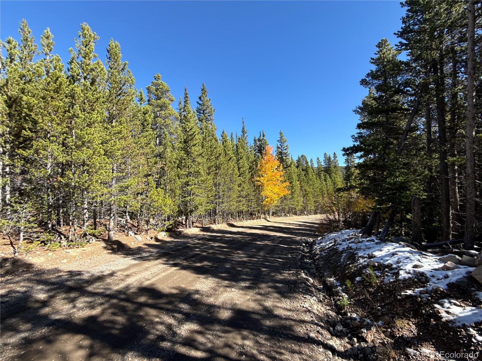 1010 Upper Forest Road Idaho Springs, CO 80452 - Photo 4 of 4