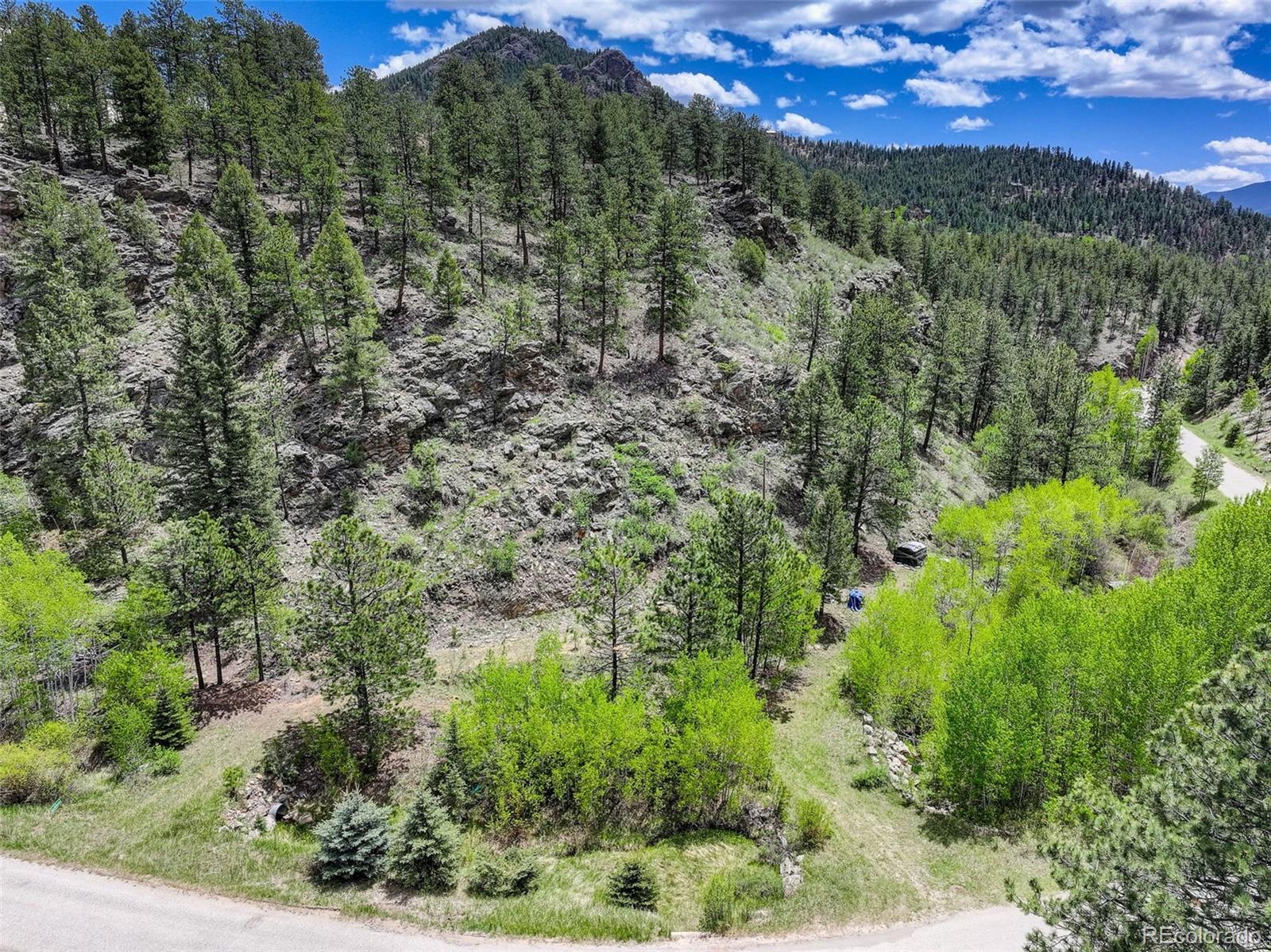 400 Crow Valley Road Bailey, CO 80421 - Photo 4 of 28
