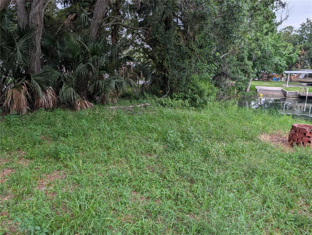 Undisclosed Address Weeki Wachee, FL 34607 - Photo 3 of 8