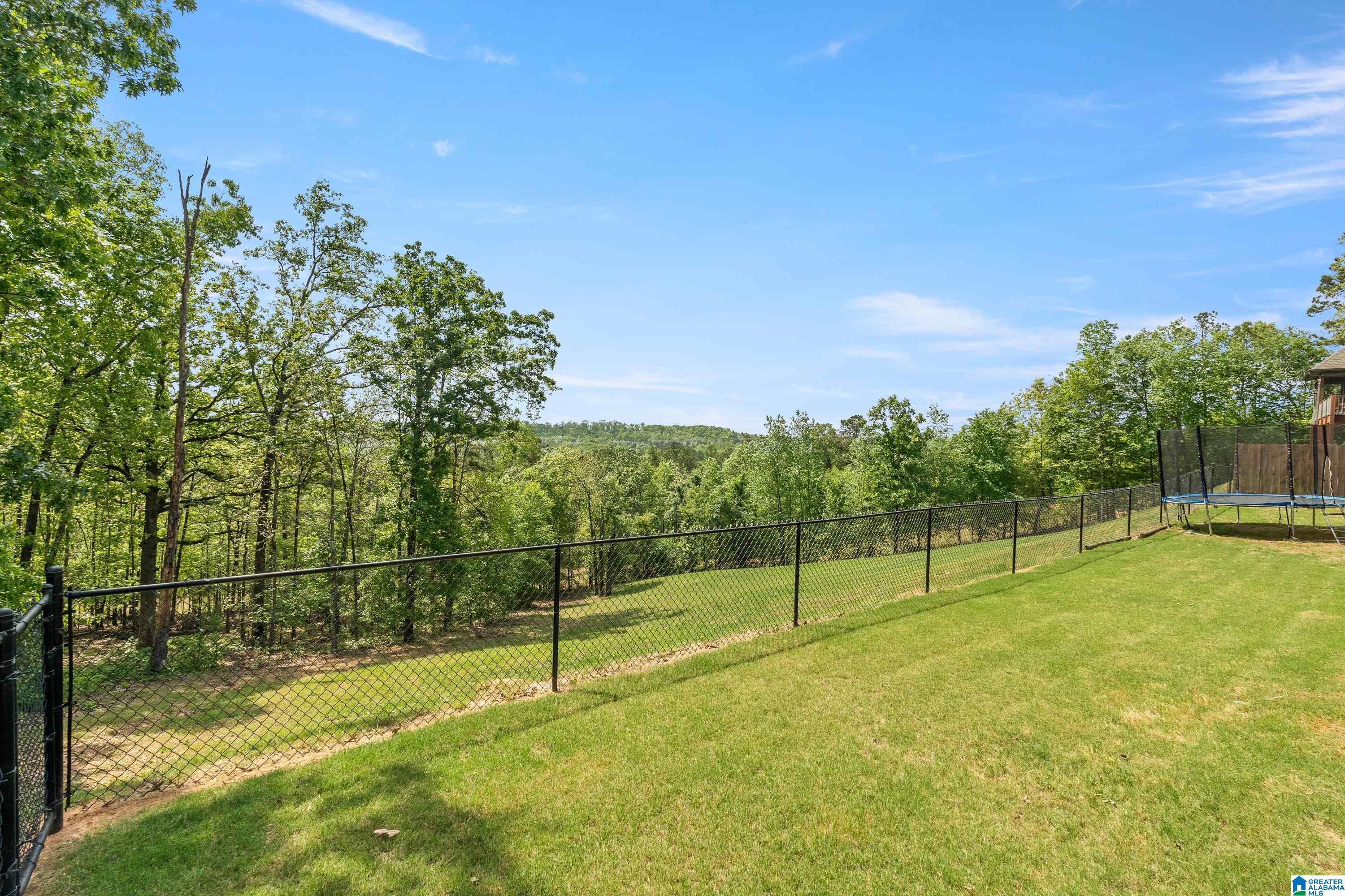 2120 Chelsea Rdg Drive Columbiana, AL 35051 - Photo 51 of 64