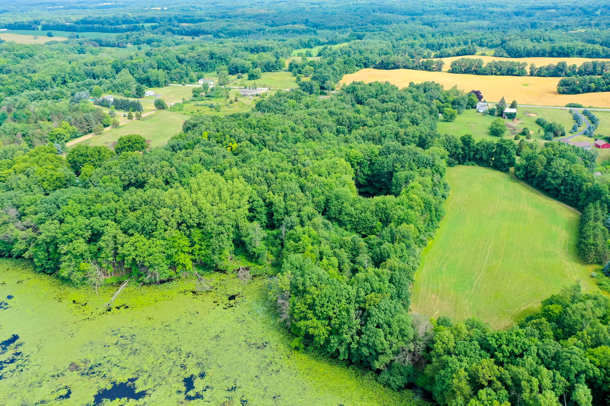 835 Pifer Road Delton, MI 49046 - Photo 55 of 59 Pifer_Rd_835_Delton_49046-Drone-10