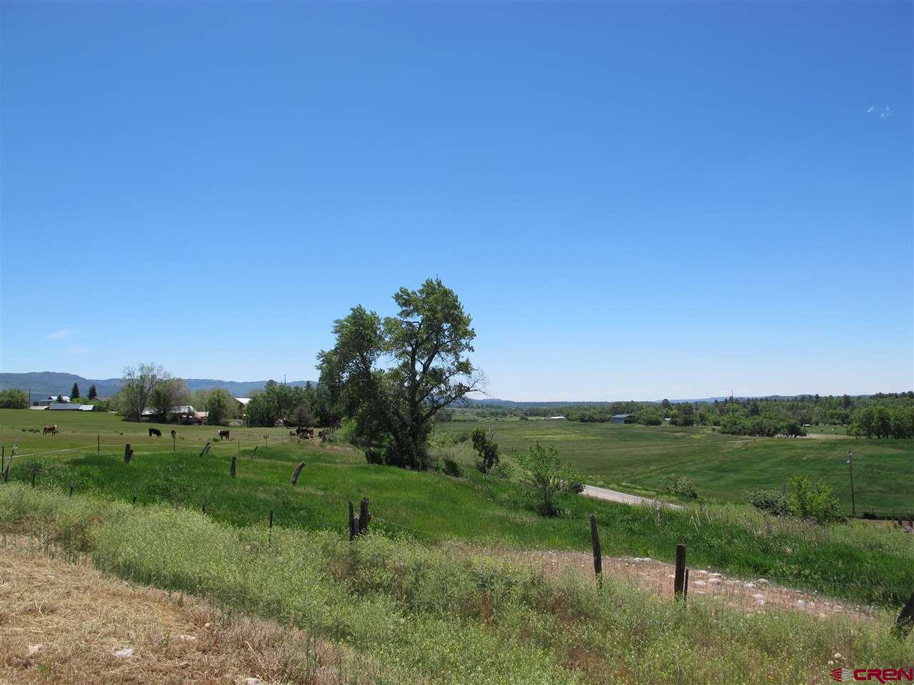 802 Hickory Ridge Bayfield, CO 81122 - Photo 13 of 17