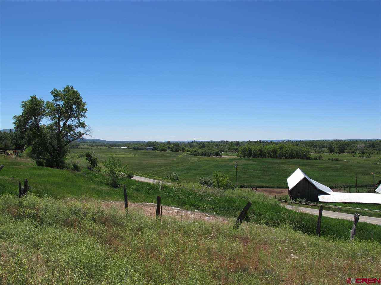 802 Hickory Ridge Bayfield, CO 81122 - Photo 14 of 17