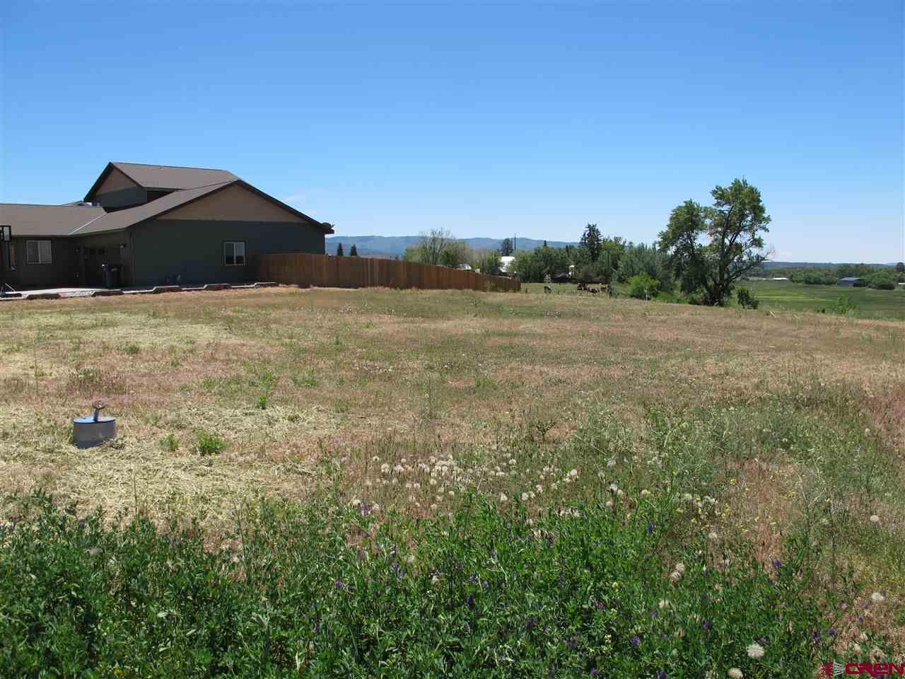 802 Hickory Ridge Bayfield, CO 81122 - Photo 6 of 17