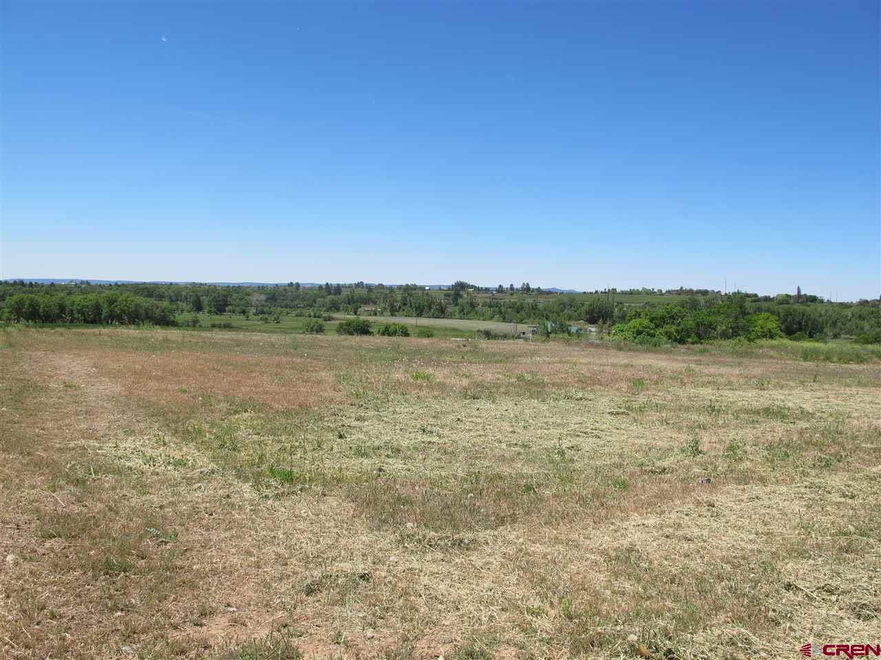 802 Hickory Ridge Bayfield, CO 81122 - Photo 7 of 17