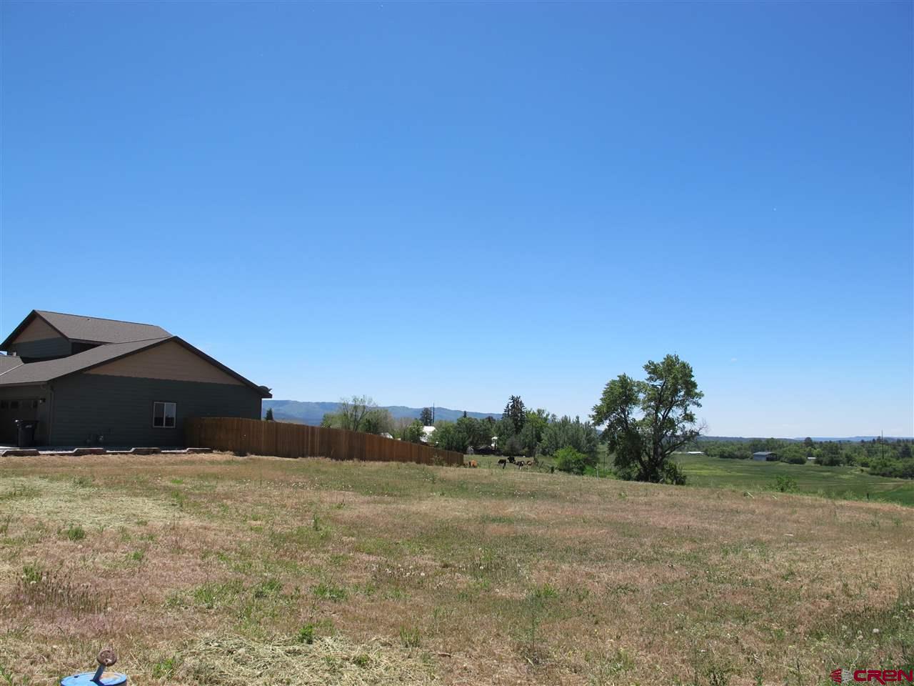 802 Hickory Ridge Bayfield, CO 81122 - Photo 9 of 17