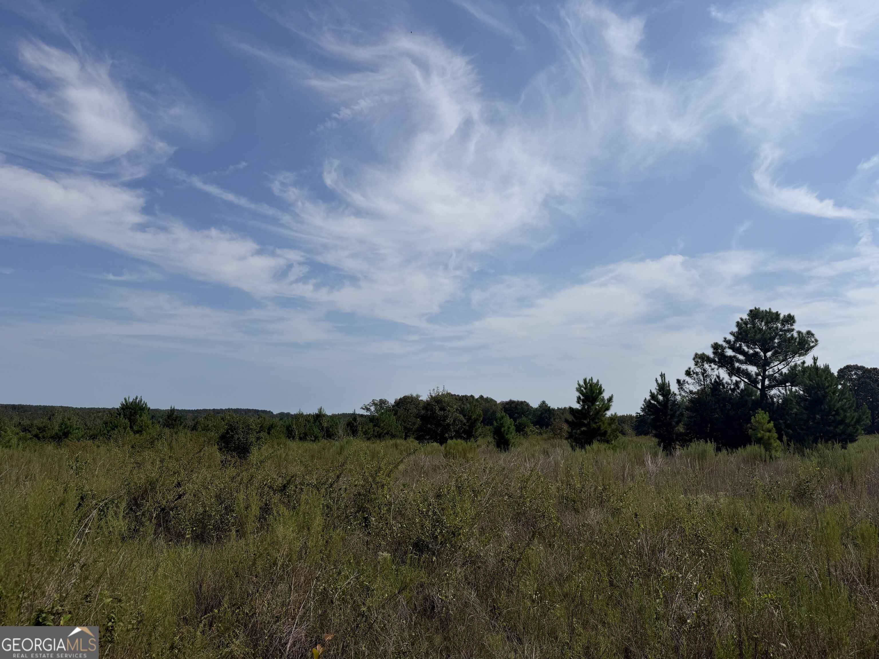 5 Long Branch Road Toomsboro, GA 31090 - Photo 10 of 15 Gallery Image 10