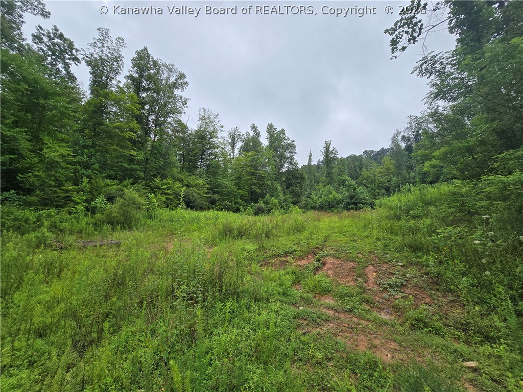 0 Charleston Road Spencer, WV 25276 - Photo 4 of 9 Gallery Image 4
