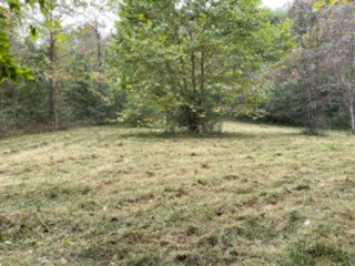 0 Booker Ridge Road Mount Pleasant, TN 38474 - Photo 3 of 8 Gallery Image 3