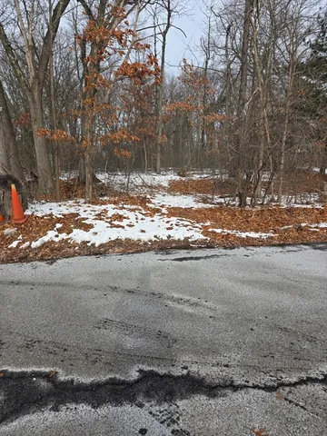 a view of a yard with a large tree