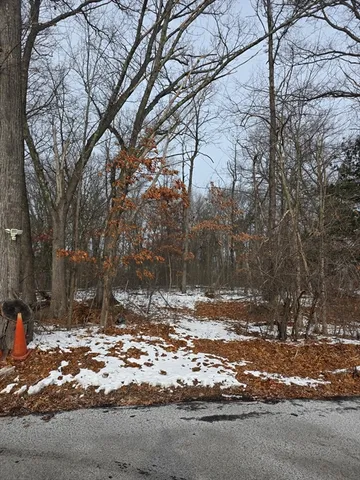 a view of a yard with snow on the road