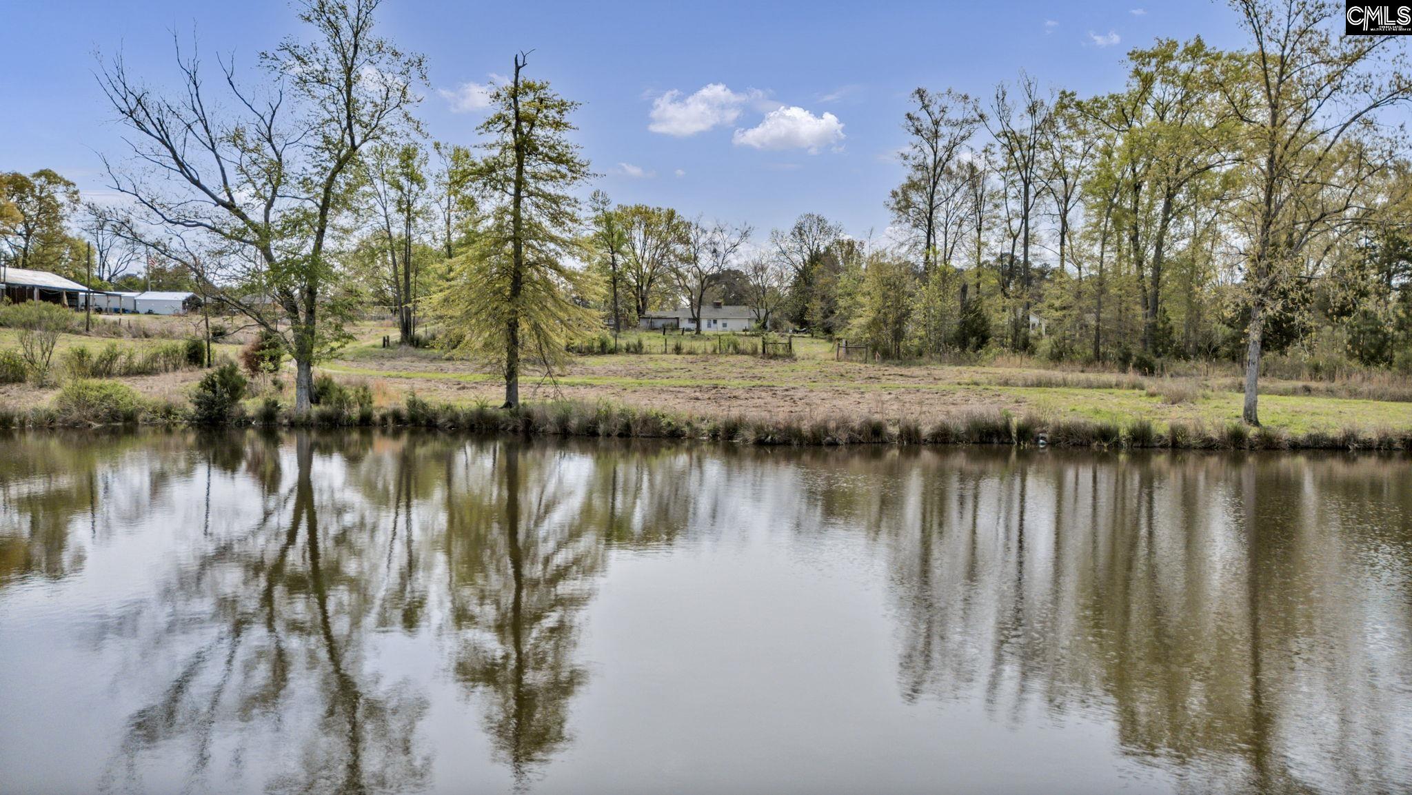 421-0 Shore Road Gilbert, SC 29054 - Photo 14 of 57