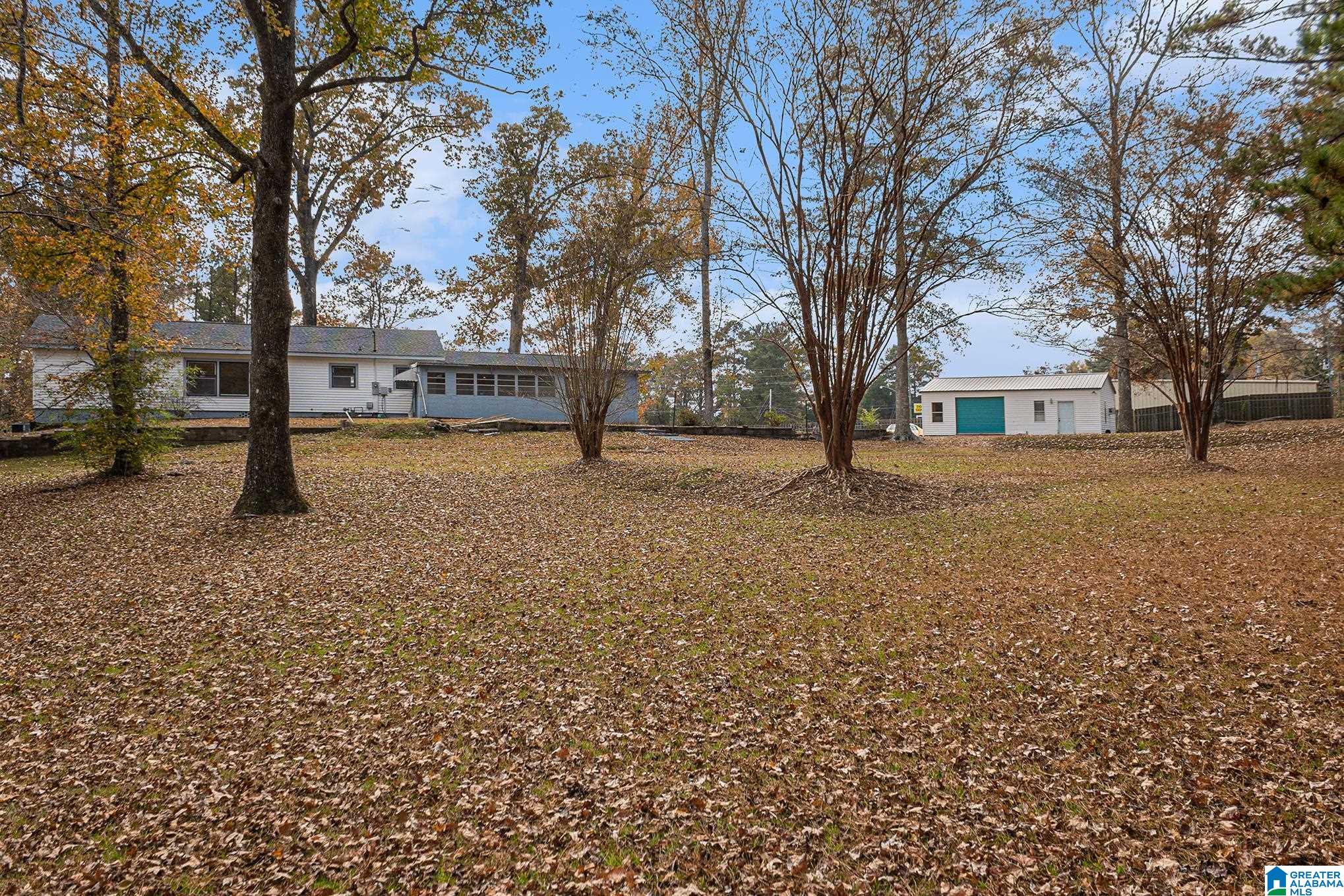 3211 Hillabee Road Alexander City, AL 35010 - Photo 26 of 35