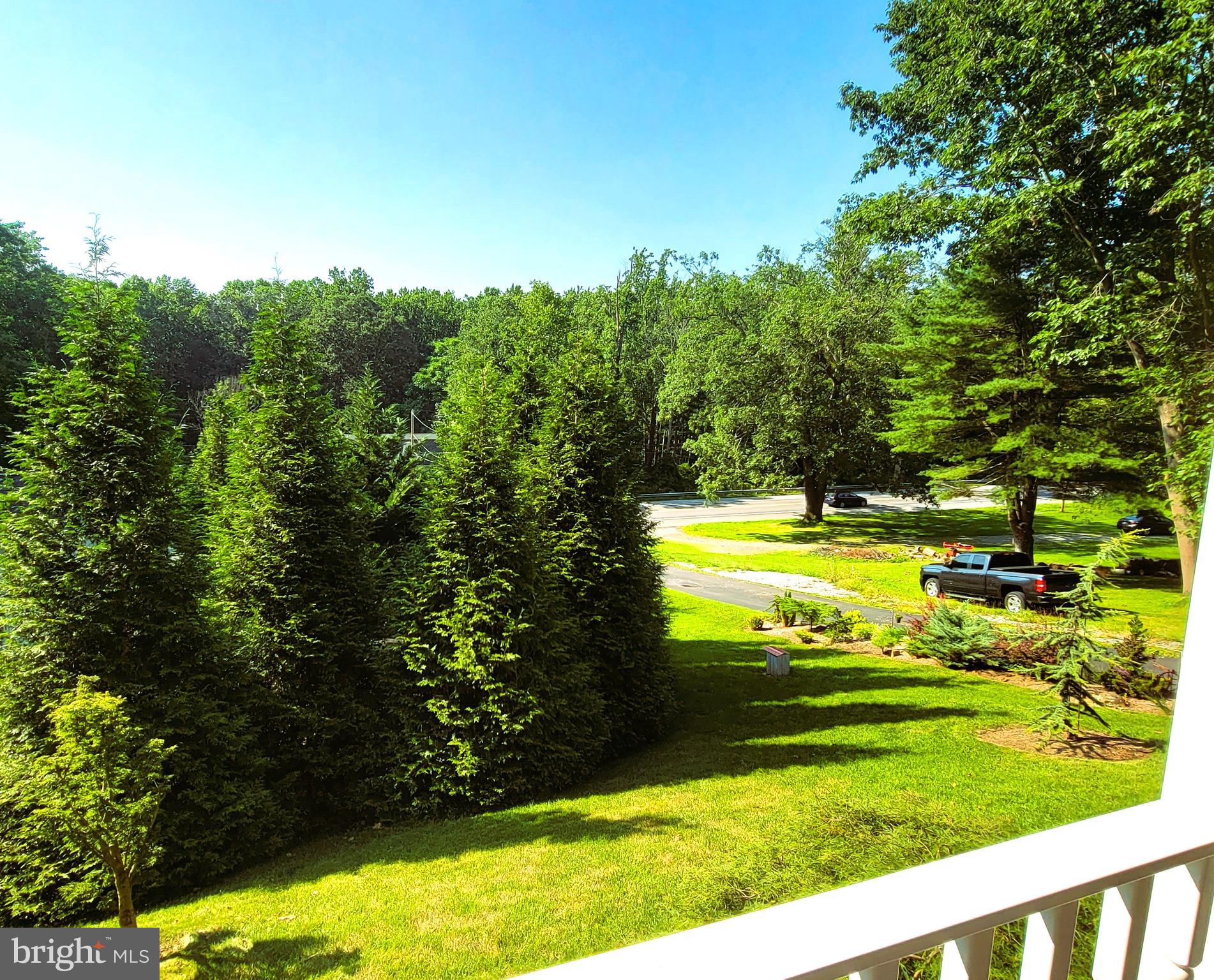 3041 Conowingo Road Street, MD 21154 - Photo 12 of 47 Mature Landscaping for Privacy