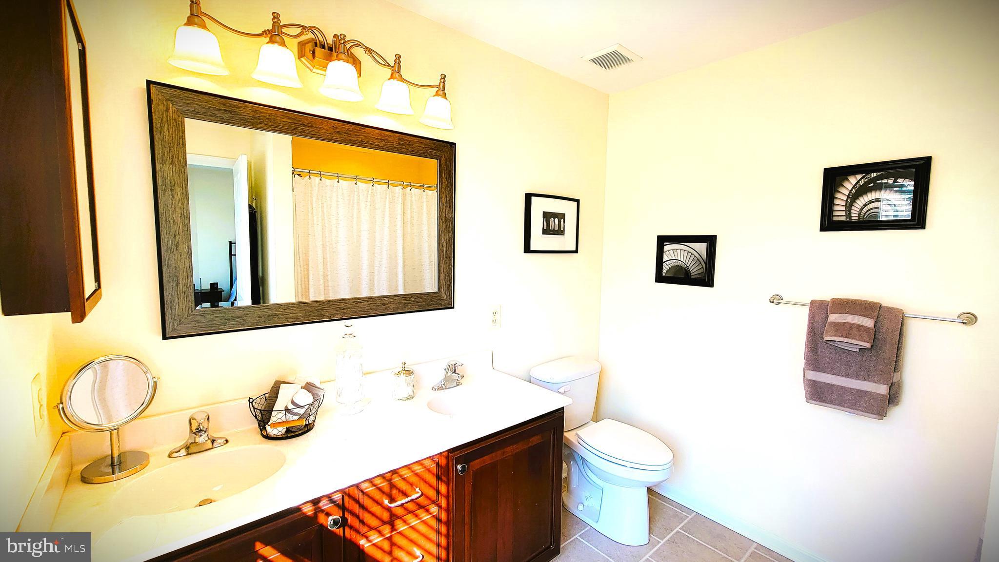 3041 Conowingo Road Street, MD 21154 - Photo 36 of 47 Primary Bedroom Private Bath