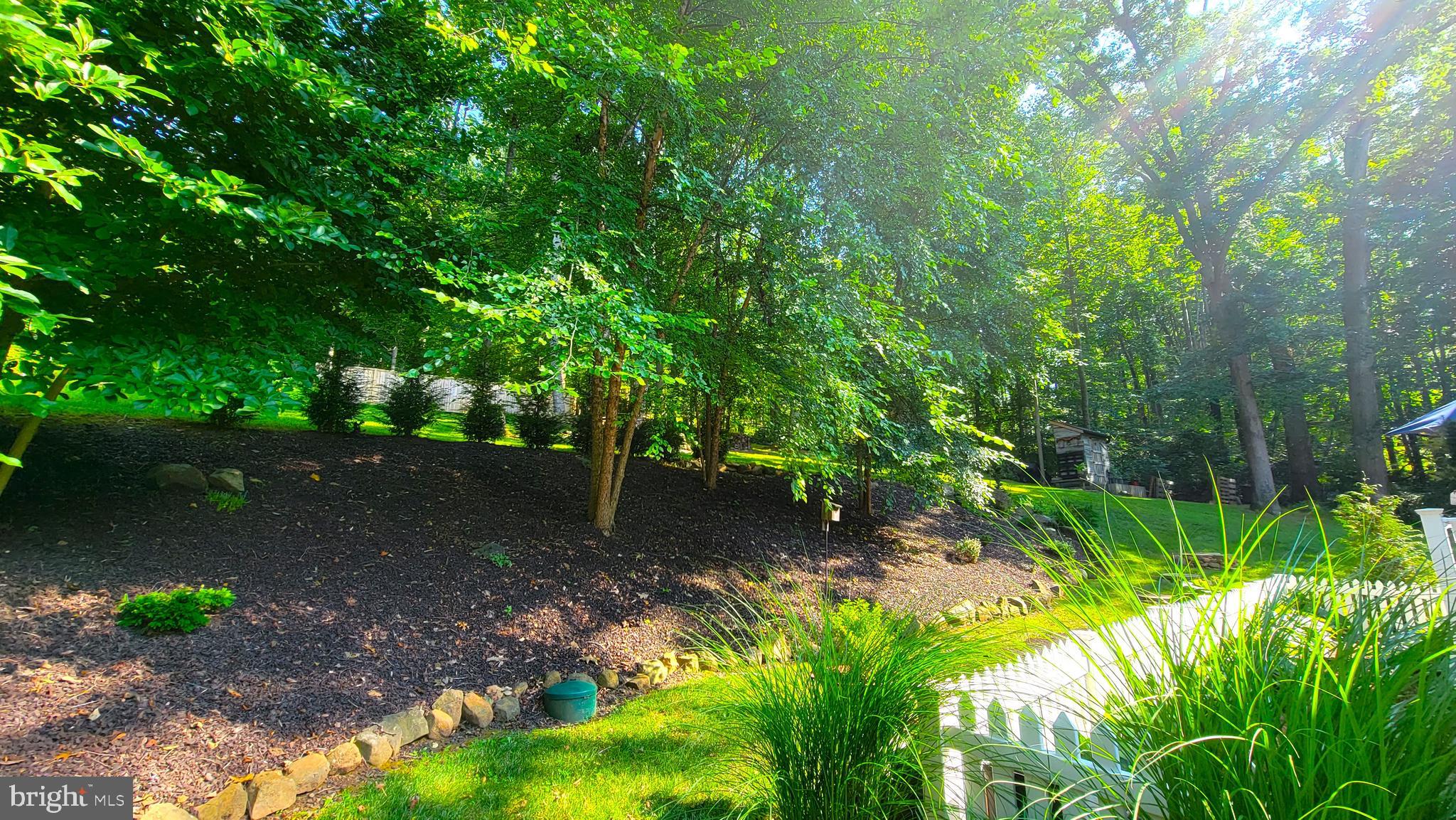 3041 Conowingo Road Street, MD 21154 - Photo 4 of 47 Back Yard with Fire Pit and Mature Landscaping