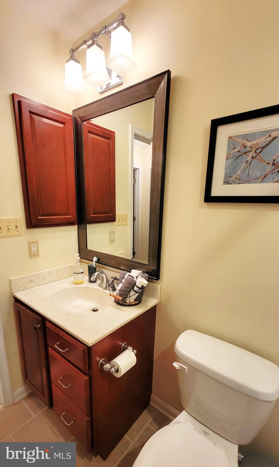 3041 Conowingo Road Street, MD 21154 - Photo 43 of 47 Upstairs Shared Full Bath Vanity