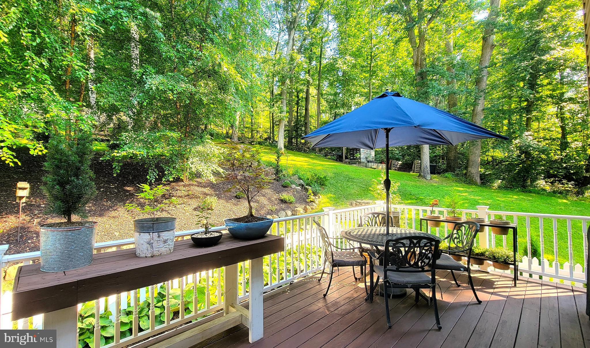 3041 Conowingo Road Street, MD 21154 - Photo 7 of 47 Back Deck Slider of of Kitchen