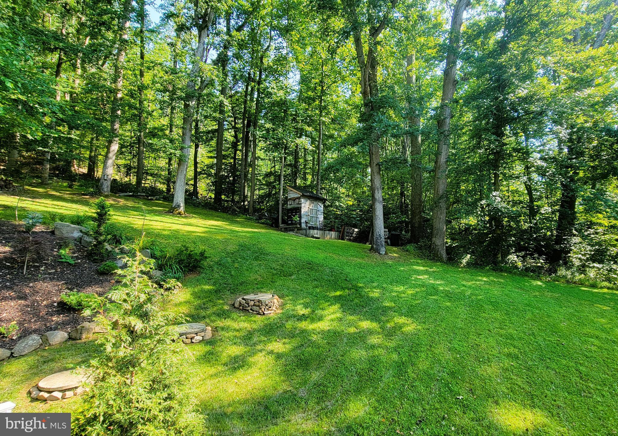 3041 Conowingo Road Street, MD 21154 - Photo 8 of 47 Back Yard with Shed