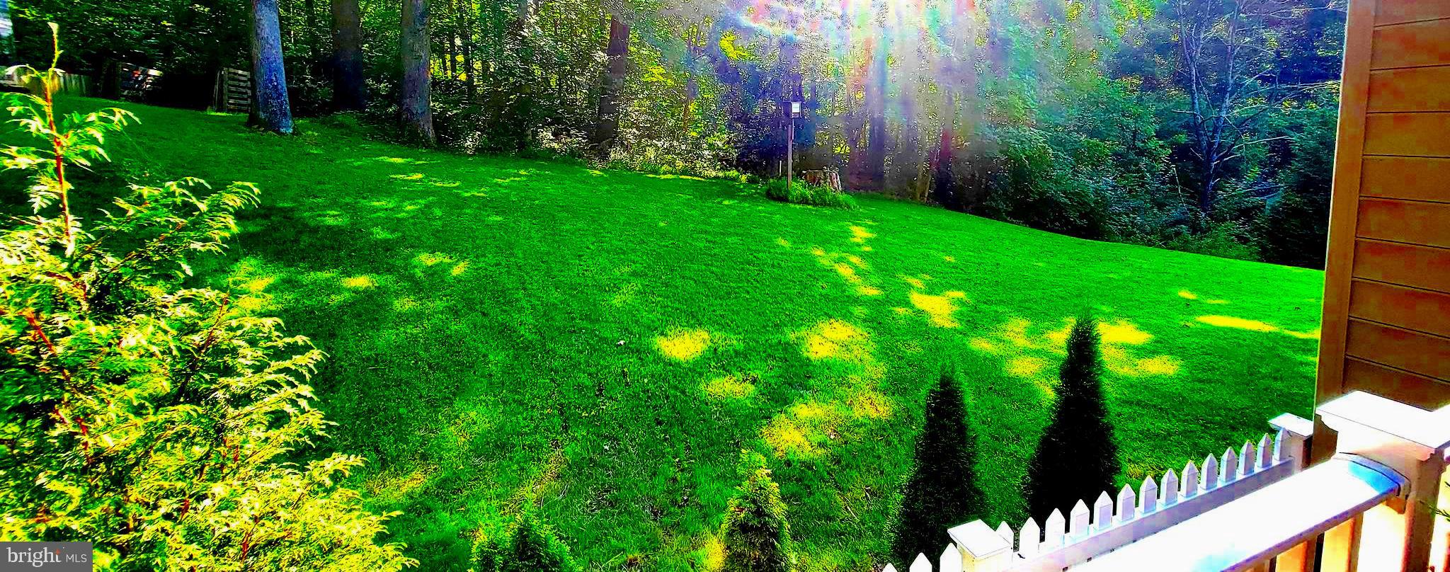 3041 Conowingo Road Street, MD 21154 - Photo 10 of 47 Large Side Yard