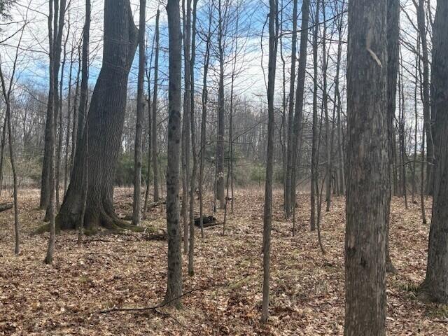 4 4 Mile Road Evart, MI 49631 - Photo 15 of 30