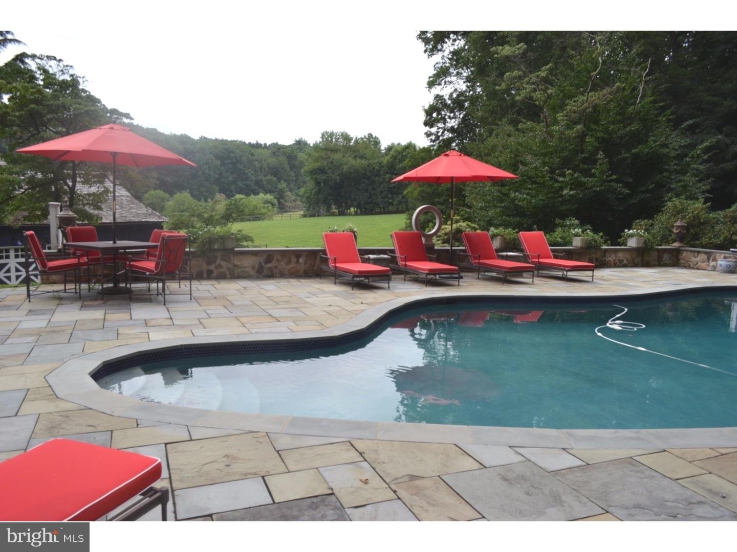 3056 Durham Road Doylestown, PA 18902 - Photo 6 of 36 Renovated Salt Water Pool with Flagstone decking