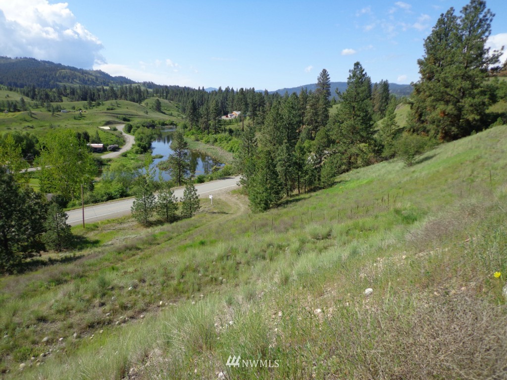 12 West Curlew Lake Road Republic, WA 99166 - Photo 5 of 11