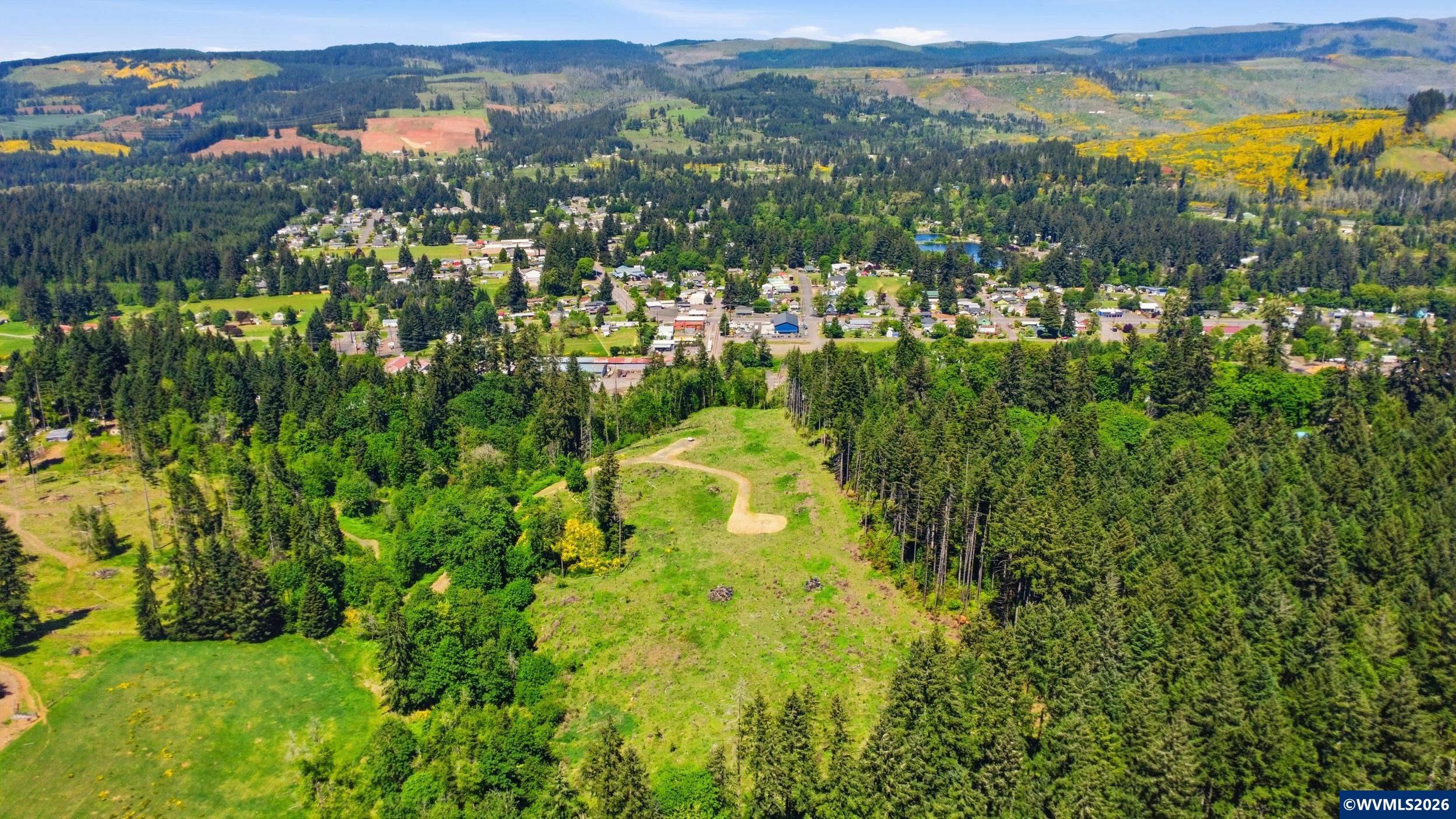 Parcels # Parcels Road, Unit 721296 Lyons, OR 97358 - Photo 2 of 18