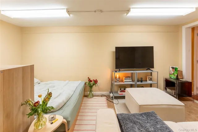 a living room with a flat screen tv and a potted plant