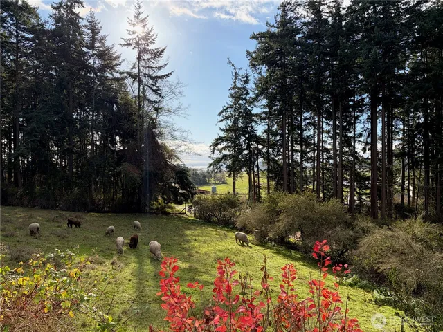 $589,000 | 651 Long Ears Way, Coupeville, WA 98239