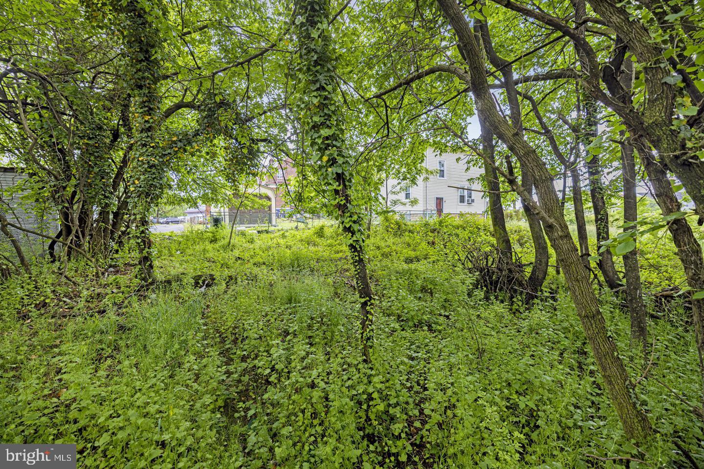 3105 22nd Street Southeast Washington, DC 20020 - Photo 3 of 11