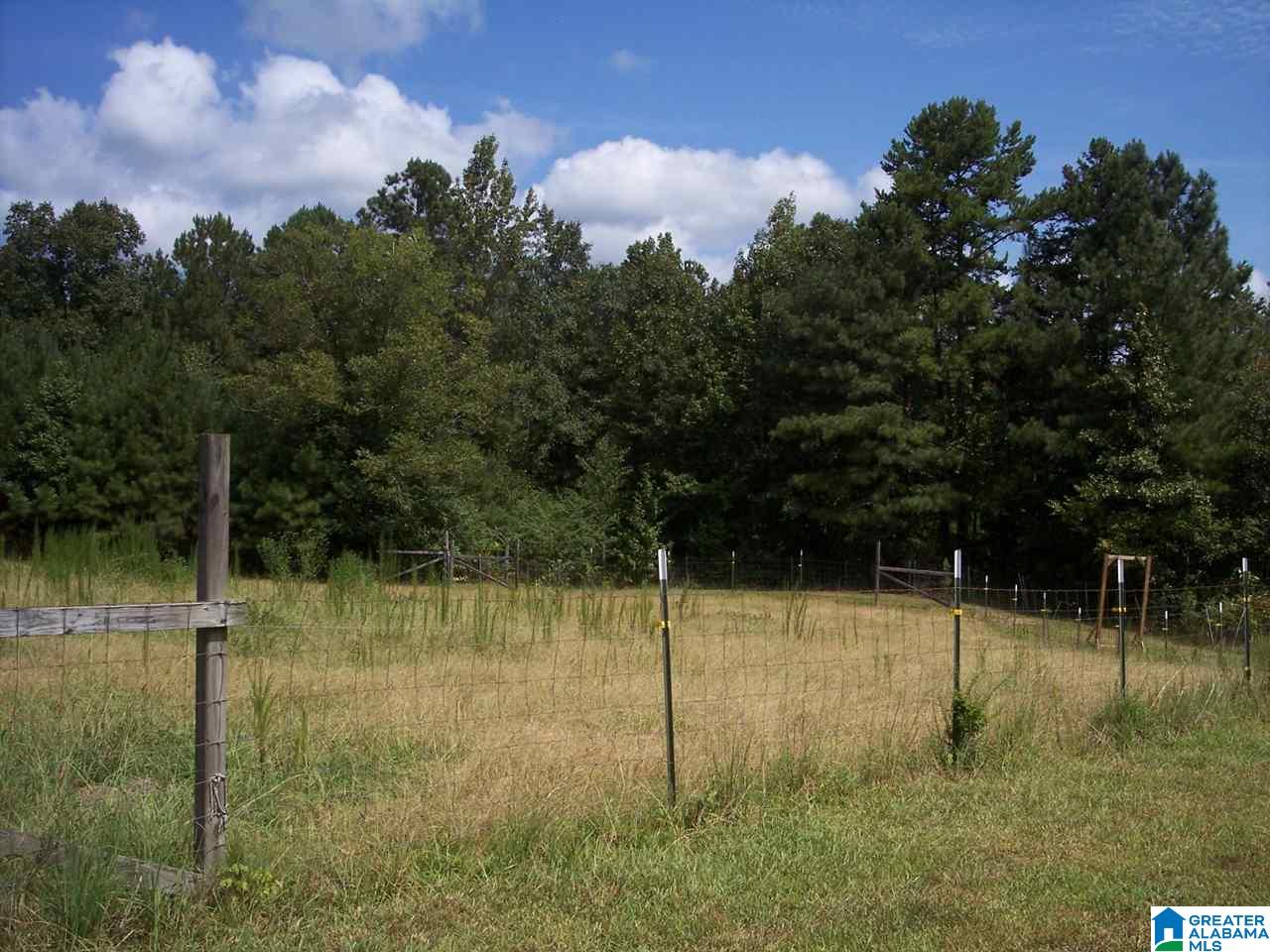 1561 Ross Lake Road Wellington, AL 36279 - Photo 41 of 50